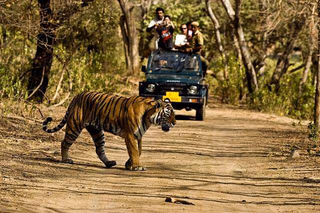 Namdapha National Park